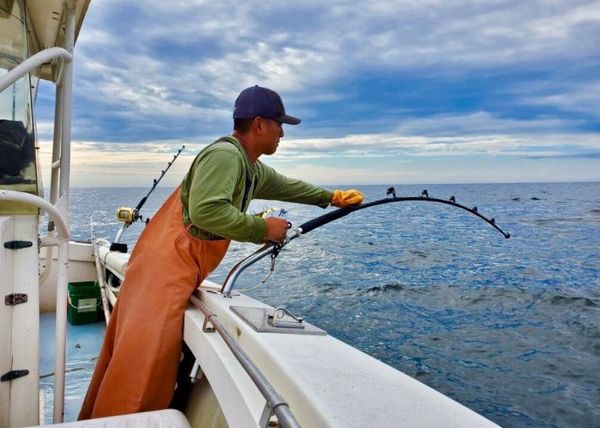 Ohana Sportfishing Charters