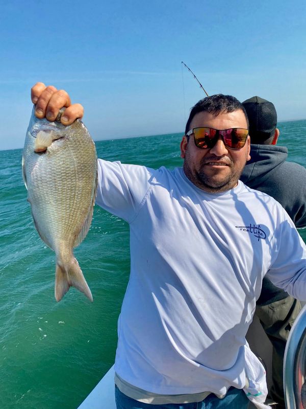 Ohana Sportfishing Charters