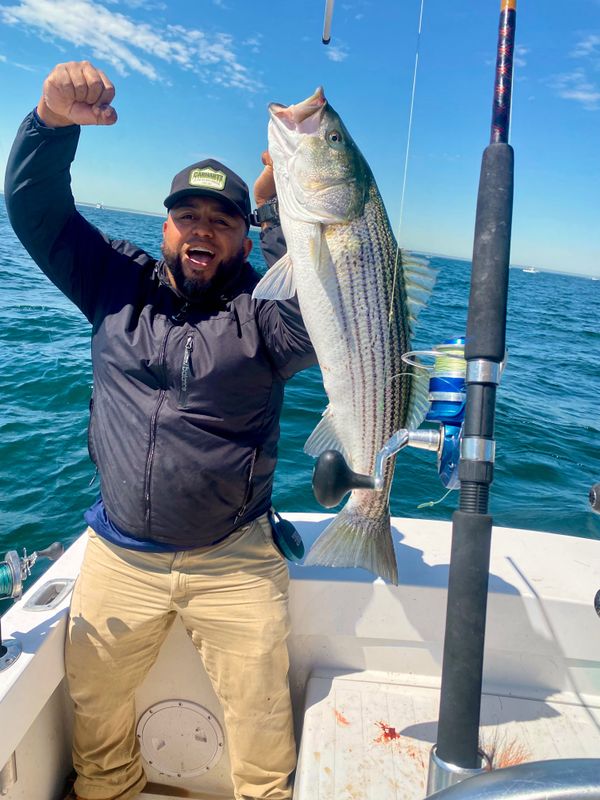 Ohana Sportfishing Charters