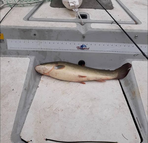 Kennedy Fishing Company