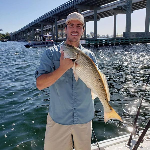 Sunshine Fishing Charters