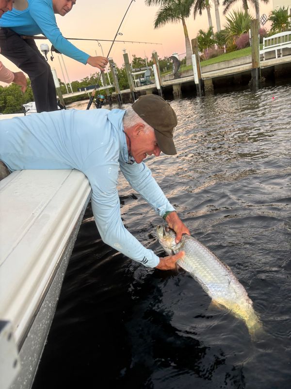 Reel Sharp Sportfishing