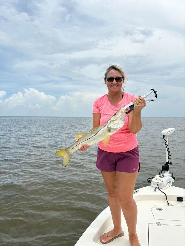 Reel Sharp Sportfishing
