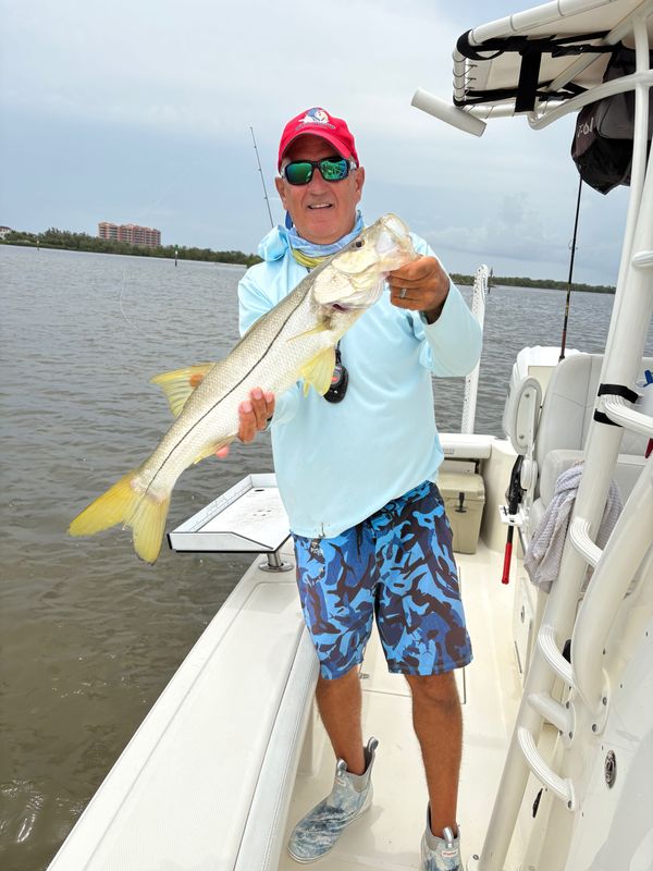 Reel Sharp Sportfishing