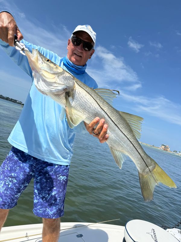 Reel Sharp Sportfishing