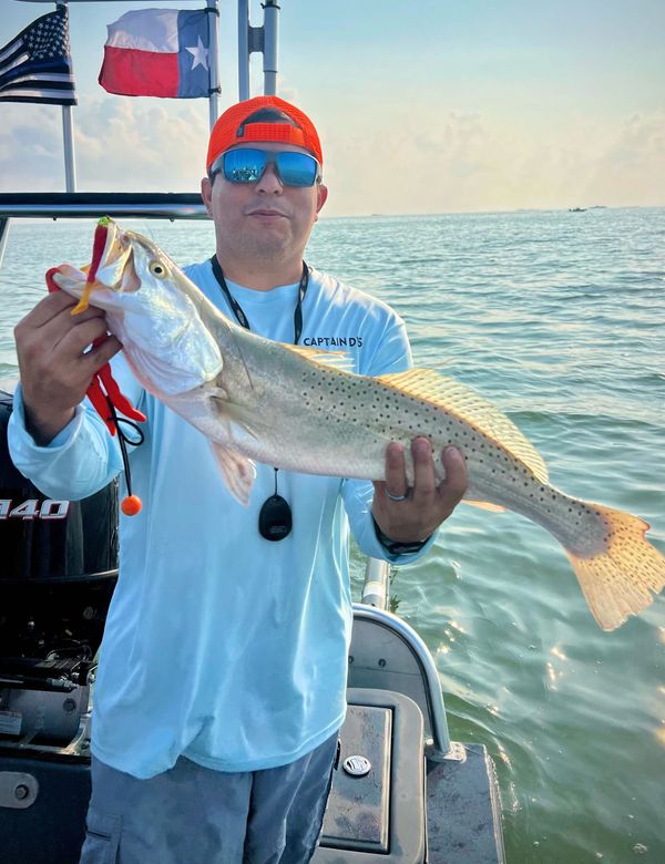 956 Salty Waders