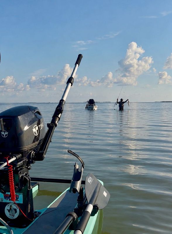 956 Salty Waders