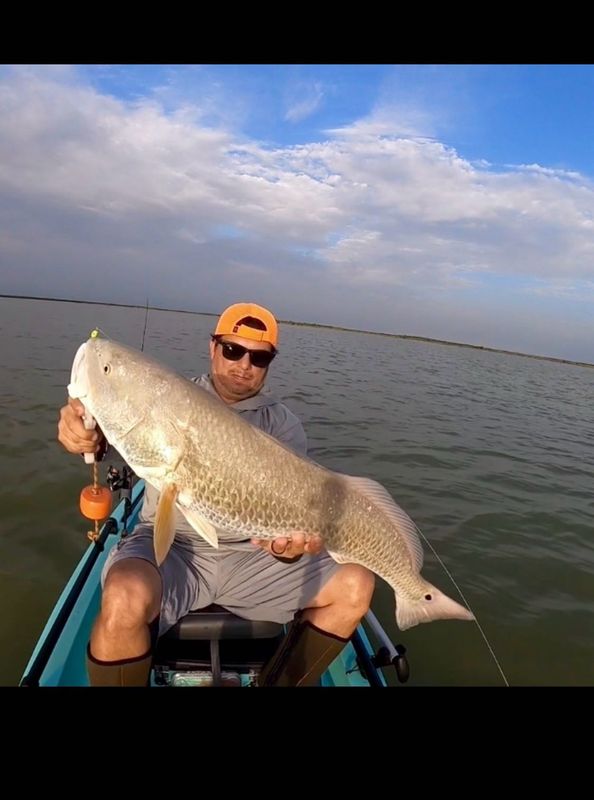 956 Salty Waders
