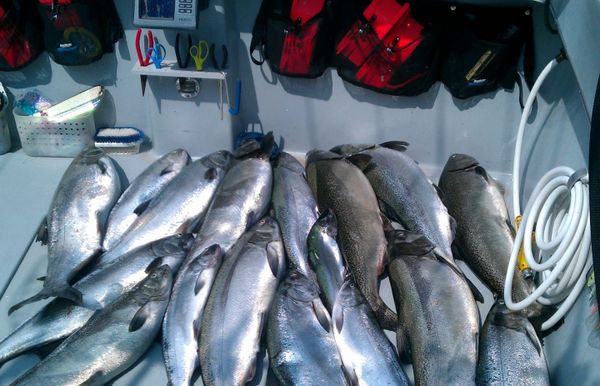 Add'em Up Sportfishing Charters