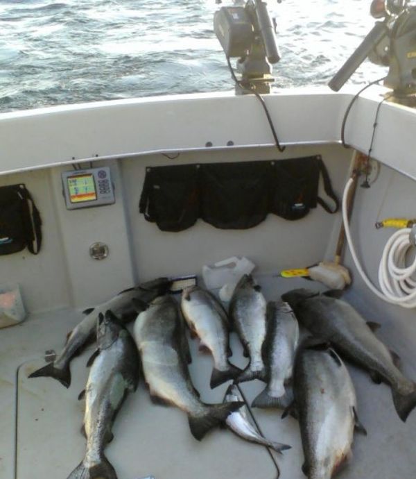Add'em Up Sportfishing Charters