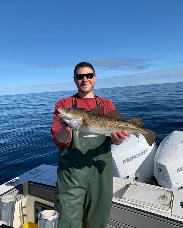 Cape Cod Offshore