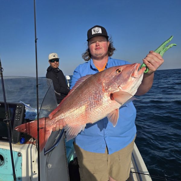 Florida Gulf Coast Charter Fishing