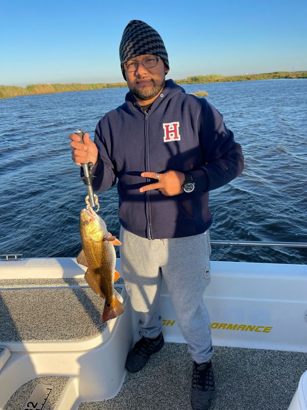 Peter's Net's Fishing Adventures
