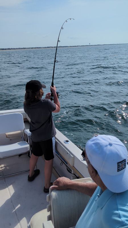 Little Secret Charters