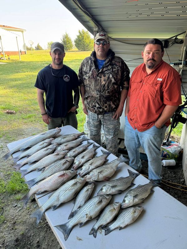 Dixie Guide Service