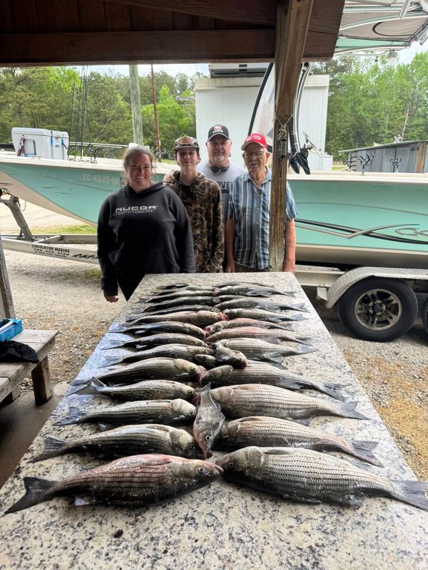 Dixie Guide Service