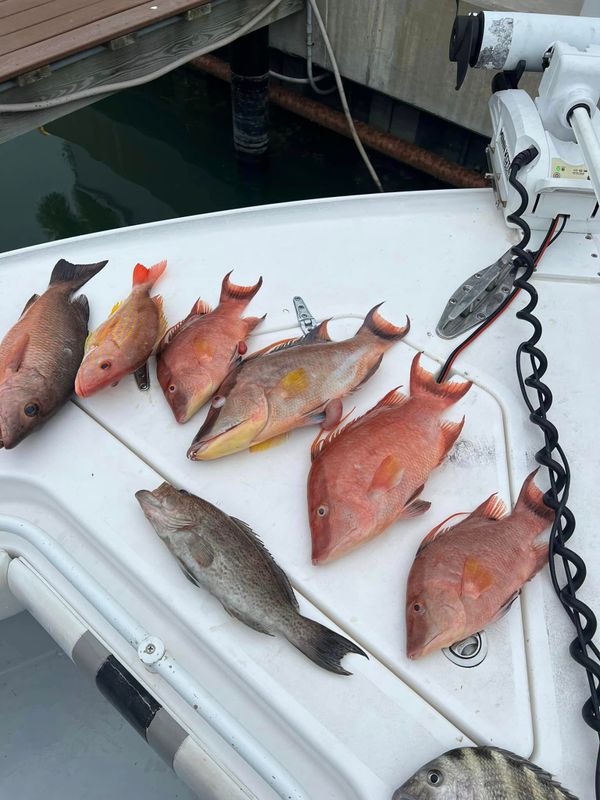 Reel Nauti Fishing Charter LCC