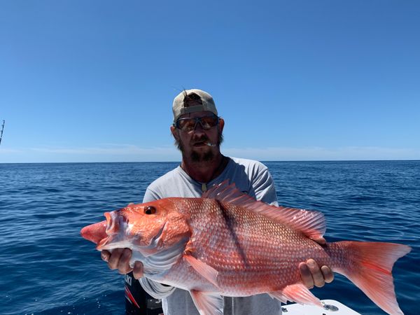 Salty Hooks Fishing