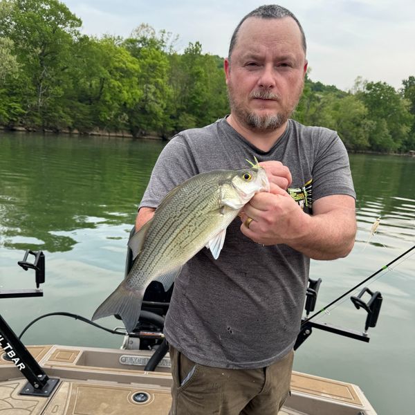 Tennessee River Valley Fishing Guide Service