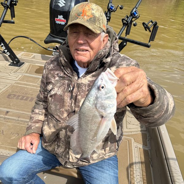 Tennessee River Valley Fishing Guide Service