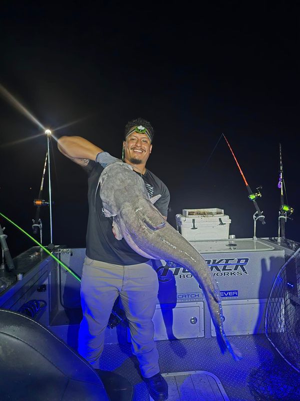 Reel Country Guide Service