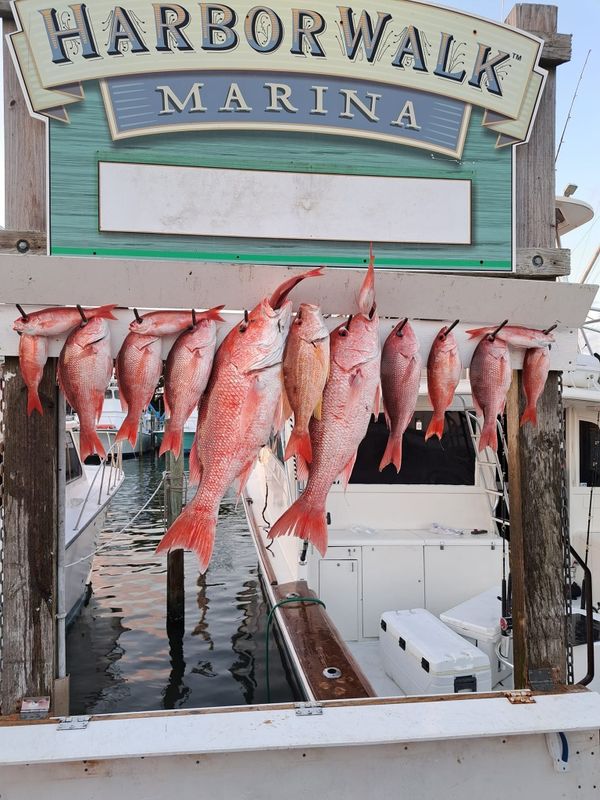 Strike Zone Charters