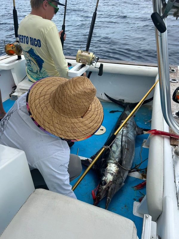 Elimar Fishing Tours