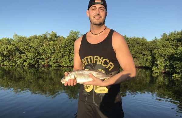 Ultimate Fishing Charters