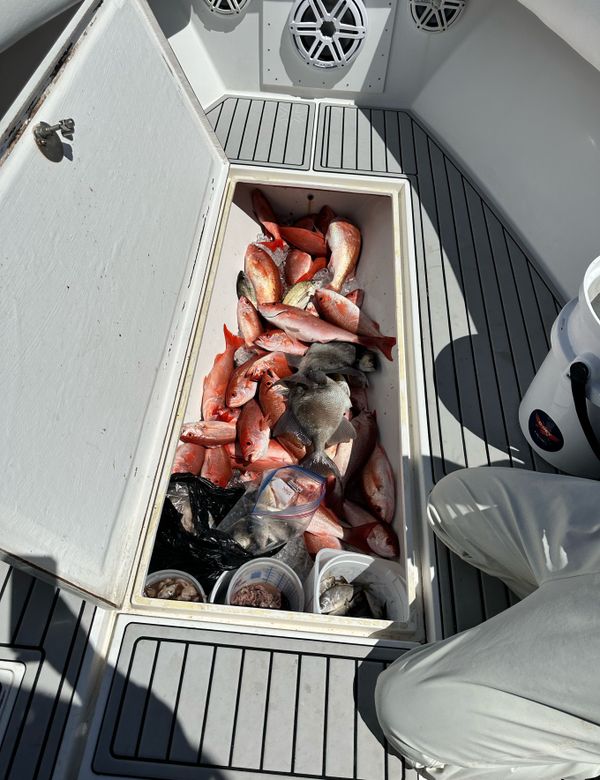 Charter Boat Dorado