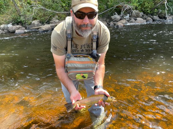 BattleFishOnTheFly