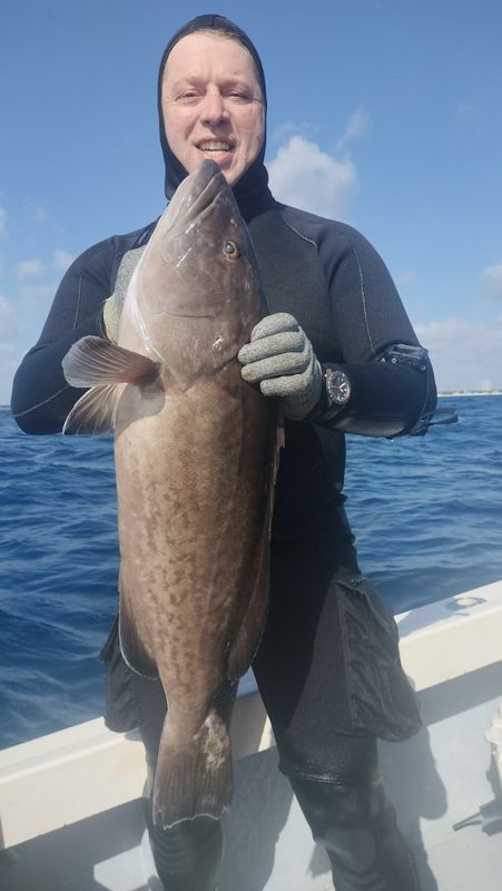 Aquahunter Dive And Fish Charter