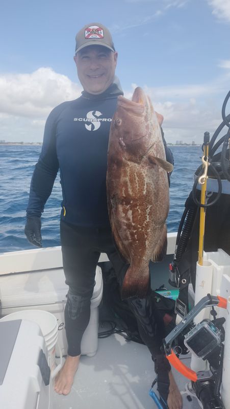 Neptunes Scuba ACADEMY