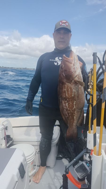Aquahunter Dive And Fish Charter