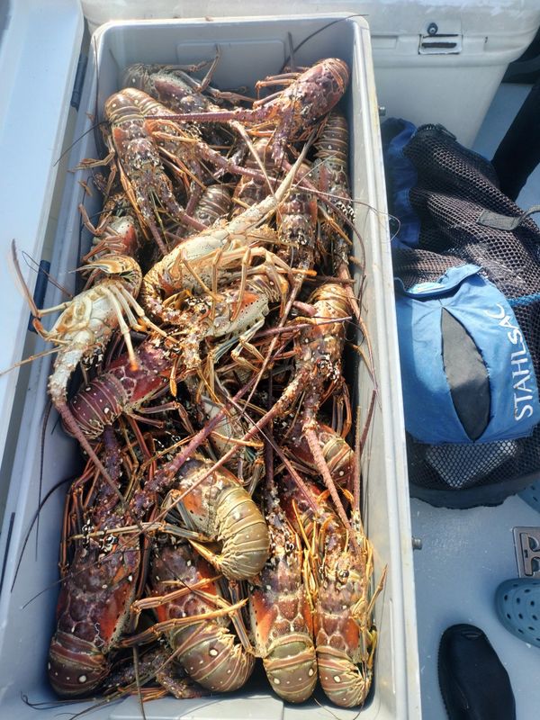 Aquahunter Dive And Fish Charter