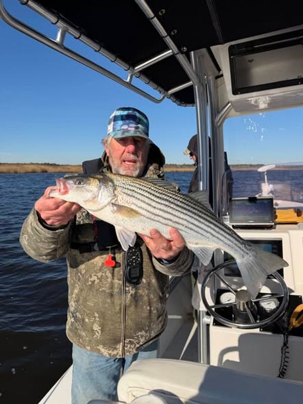 Diamond Jig Charters