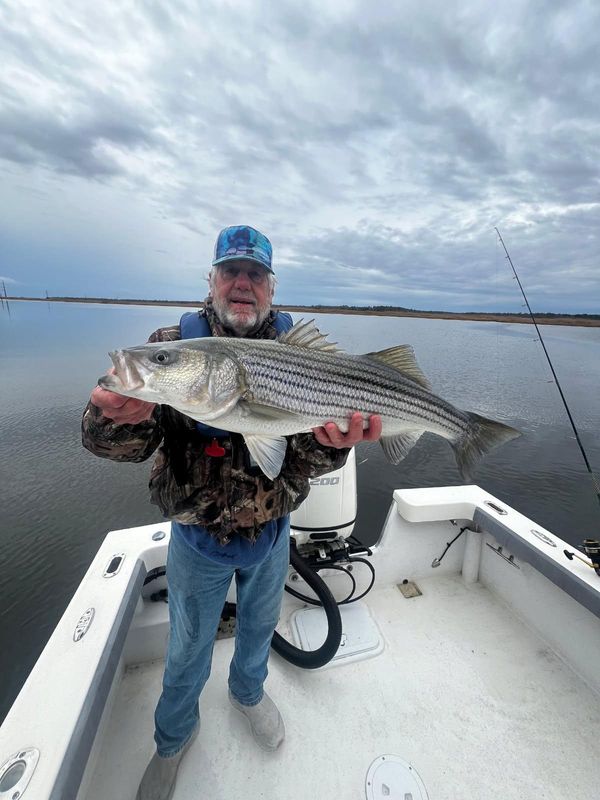 Diamond Jig Charters