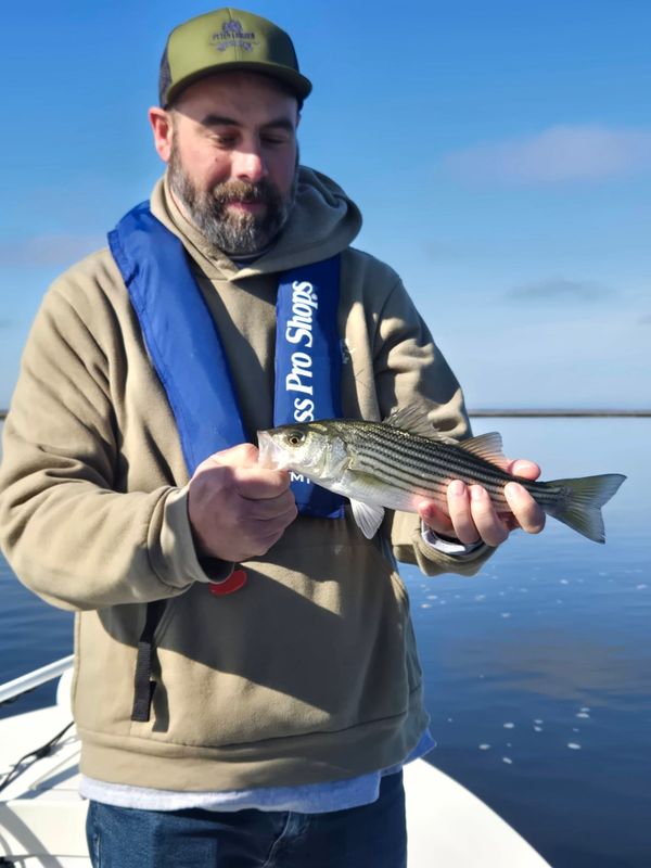 Diamond Jig Charters