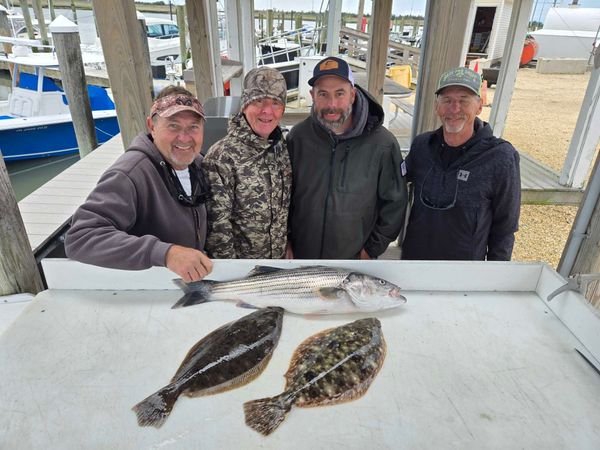 Diamond Jig Charters