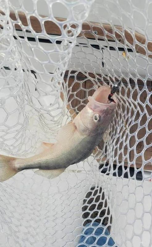 Carolina fishing adventures with Jay Bruce 