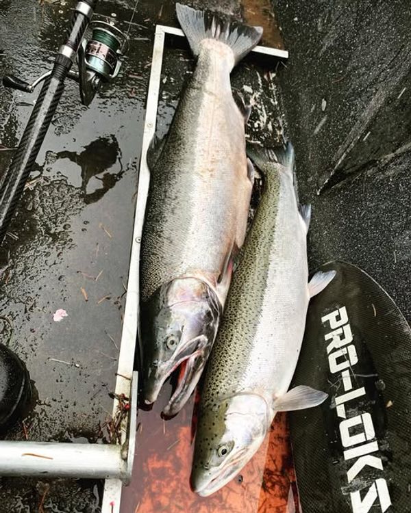 Pittman Sportfishing