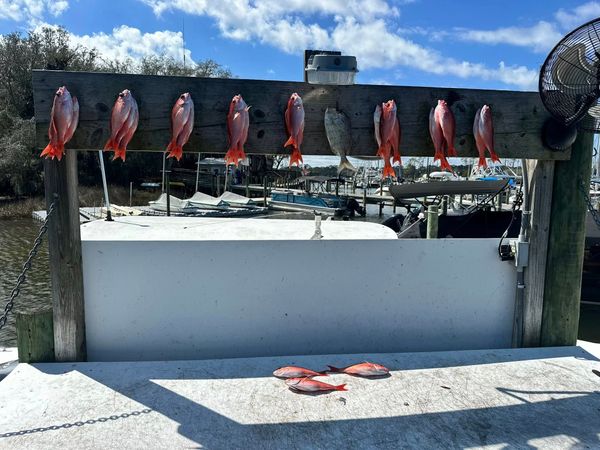 High Flying Saltwater Charters