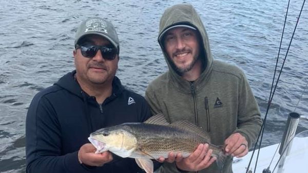 Port City Inshore Charters