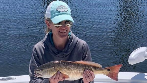 Port City Inshore Charters