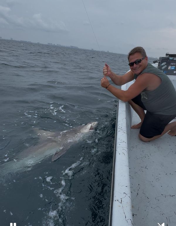 Fish Now PCB