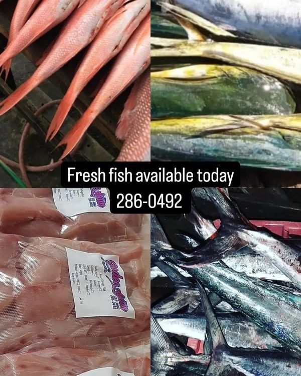 Padee Again Fishing Charters