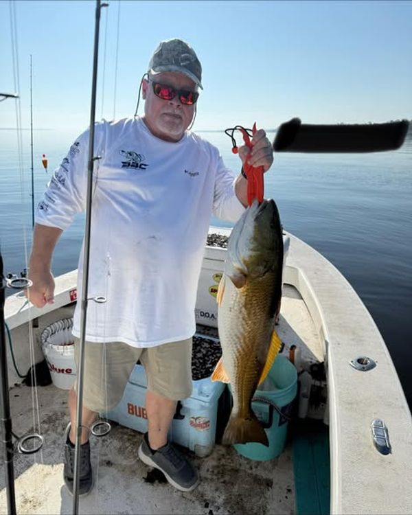 Wicked East Charters