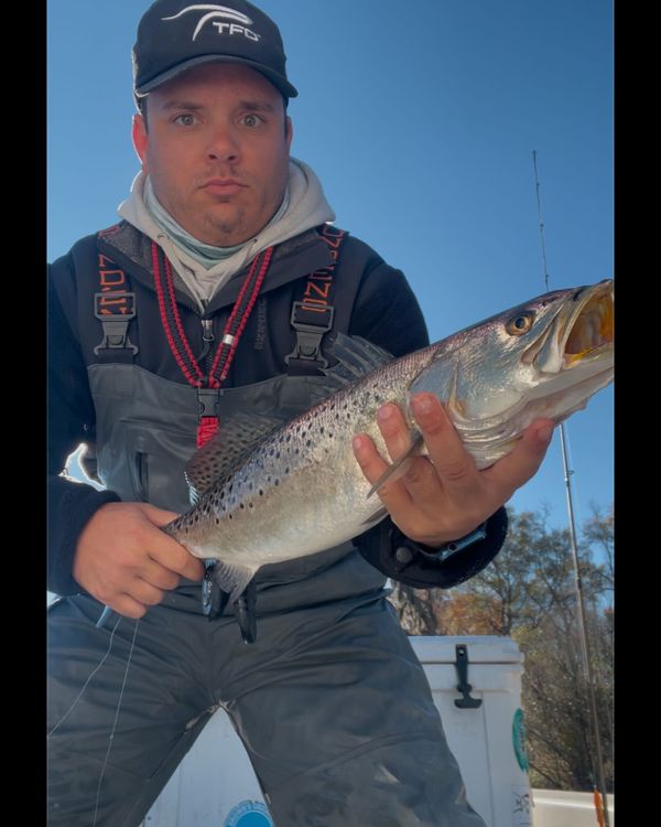 Wicked East Charters