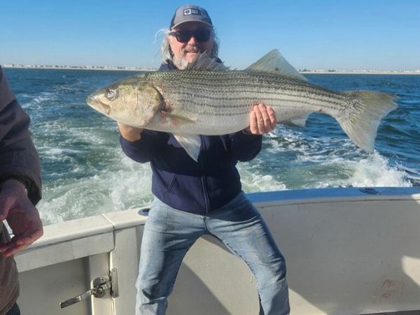 Gone Fishin’ Sport Fishing Charters