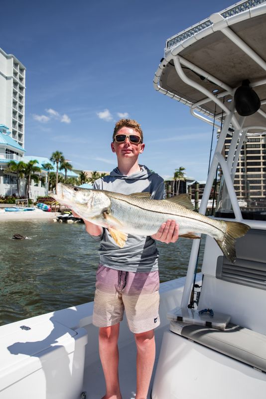 Goodman charters