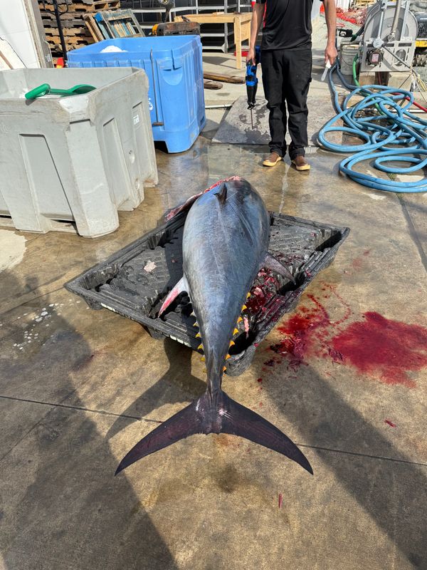 Fishin Fannatic, LLC